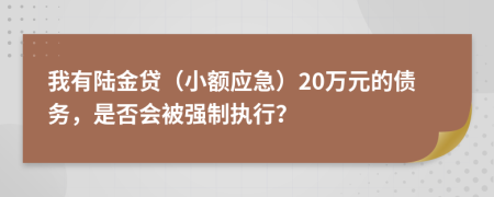 我有陆金贷（小额应急）20万元的债务，是否会被强制执行？
