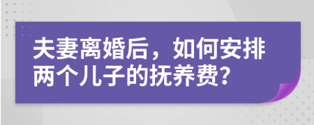 夫妻离婚后，如何安排两个儿子的抚养费？