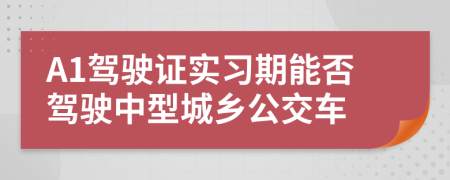 A1驾驶证实习期能否驾驶中型城乡公交车