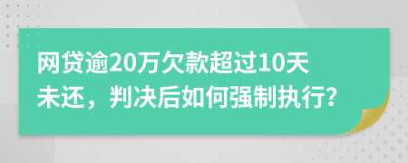 网贷逾20万欠款超过10天未还，判决后如何强制执行？