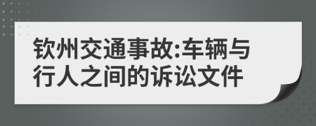 钦州交通事故:车辆与行人之间的诉讼文件
