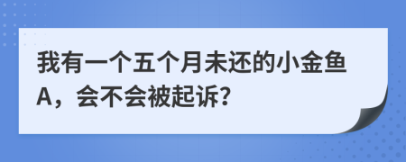 我有一个五个月未还的小金鱼A，会不会被起诉？