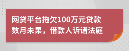 网贷平台拖欠100万元贷款数月未果，借款人诉诸法庭