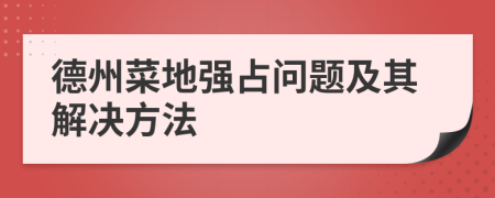 德州菜地强占问题及其解决方法