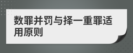 数罪并罚与择一重罪适用原则