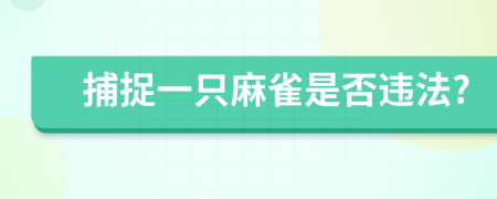 捕捉一只麻雀是否违法?