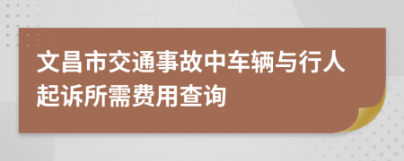 文昌市交通事故中车辆与行人起诉所需费用查询