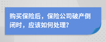 购买保险后，保险公司破产倒闭时，应该如何处理？