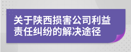 关于陕西损害公司利益责任纠纷的解决途径