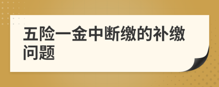 五险一金中断缴的补缴问题