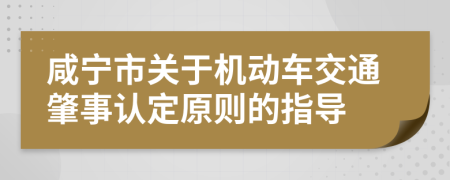 咸宁市关于机动车交通肇事认定原则的指导