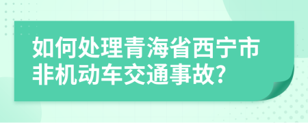 如何处理青海省西宁市非机动车交通事故?