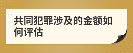 共同犯罪涉及的金额如何评估