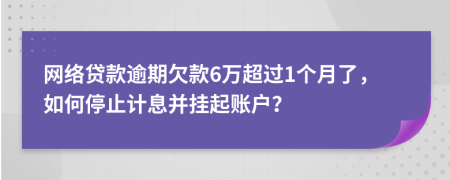 网络贷款逾期欠款6万超过1个月了，如何停止计息并挂起账户？