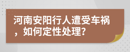 河南安阳行人遭受车祸，如何定性处理？