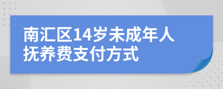 南汇区14岁未成年人抚养费支付方式