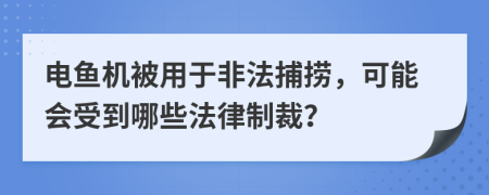 电鱼机被用于非法捕捞，可能会受到哪些法律制裁？