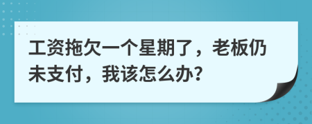 工资拖欠一个星期了，老板仍未支付，我该怎么办？
