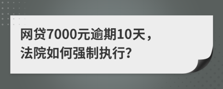 网贷7000元逾期10天，法院如何强制执行？