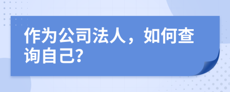 作为公司法人，如何查询自己？