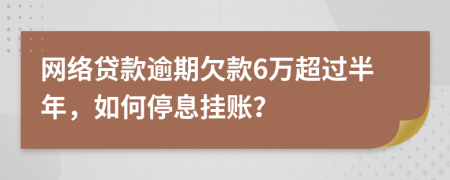 网络贷款逾期欠款6万超过半年，如何停息挂账？