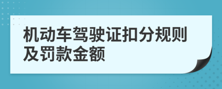 机动车驾驶证扣分规则及罚款金额