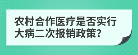 农村合作医疗是否实行大病二次报销政策？