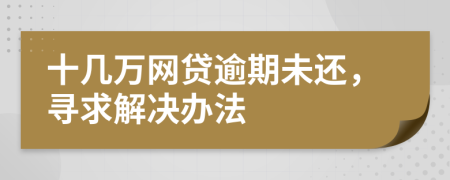 十几万网贷逾期未还，寻求解决办法
