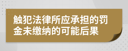 触犯法律所应承担的罚金未缴纳的可能后果