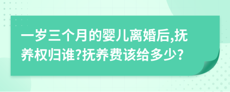 一岁三个月的婴儿离婚后,抚养权归谁?抚养费该给多少?
