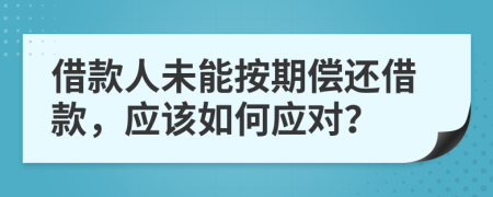 借款人未能按期偿还借款，应该如何应对？