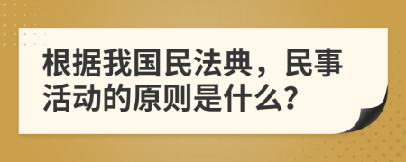 根据我国民法典，民事活动的原则是什么？