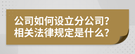 公司如何设立分公司？相关法律规定是什么？