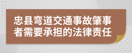 忠县弯道交通事故肇事者需要承担的法律责任
