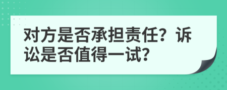 对方是否承担责任？诉讼是否值得一试？