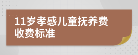 11岁孝感儿童抚养费收费标准