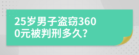 25岁男子盗窃3600元被判刑多久？