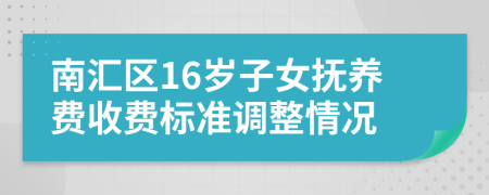 南汇区16岁子女抚养费收费标准调整情况