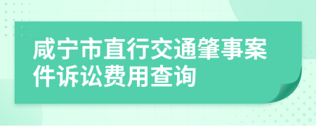 咸宁市直行交通肇事案件诉讼费用查询