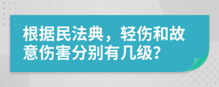 根据民法典，轻伤和故意伤害分别有几级？