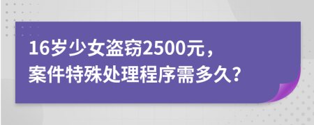 16岁少女盗窃2500元，案件特殊处理程序需多久？