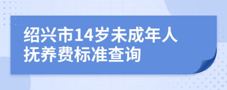 绍兴市14岁未成年人抚养费标准查询