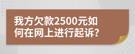 我方欠款2500元如何在网上进行起诉？