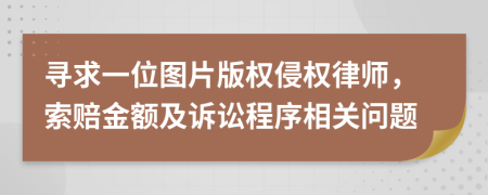 寻求一位图片版权侵权律师，索赔金额及诉讼程序相关问题
