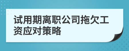试用期离职公司拖欠工资应对策略