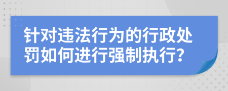 针对违法行为的行政处罚如何进行强制执行？
