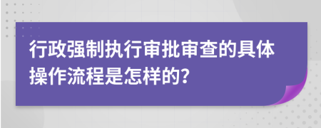 行政强制执行审批审查的具体操作流程是怎样的？
