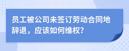 员工被公司未签订劳动合同地辞退，应该如何维权？