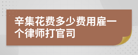 辛集花费多少费用雇一个律师打官司