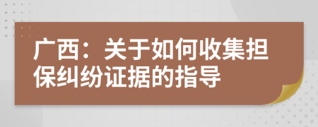 广西：关于如何收集担保纠纷证据的指导